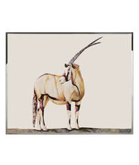 Картина Visionnaire Antilope