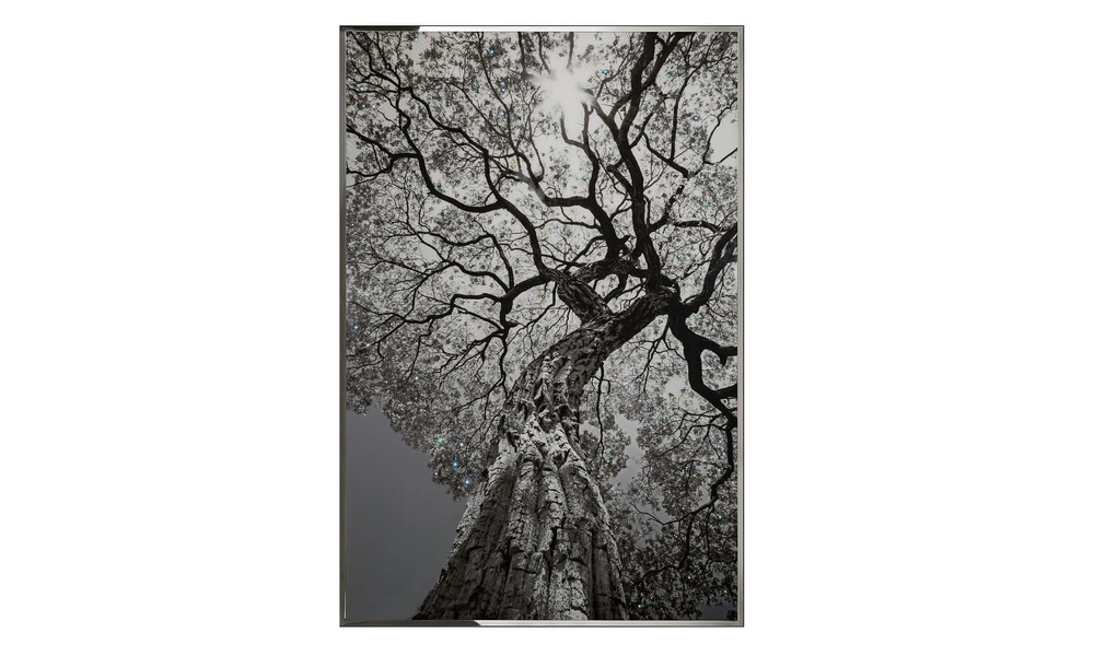 Картина Visionnaire Arbor