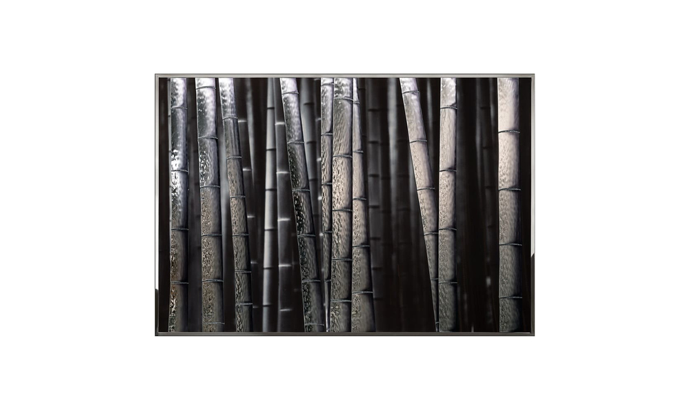 Картина Visionnaire Bambu