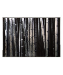Картина Visionnaire Bambu