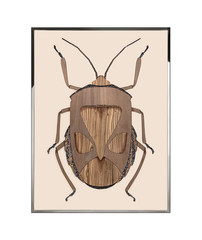 Картина Visionnaire Beetle C