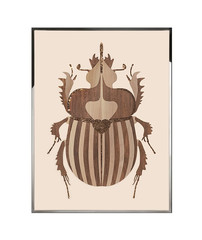 Картина Visionnaire Beetle B