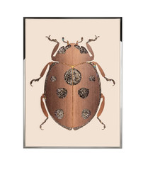 Картина Visionnaire Beetle F