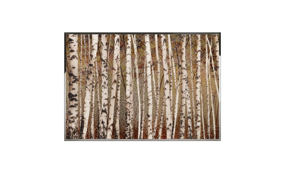 Картина Visionnaire Birches