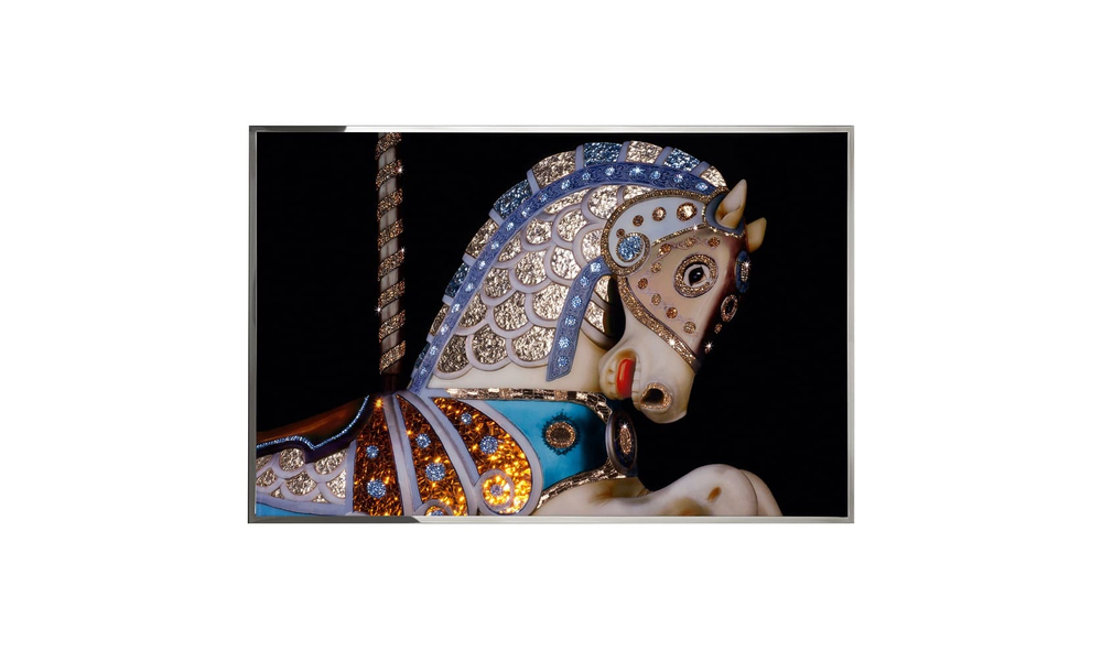 Картина Visionnaire Cavallo Giostra