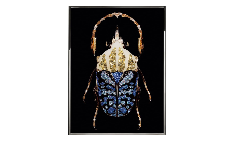 Картина Visionnaire Coleottero