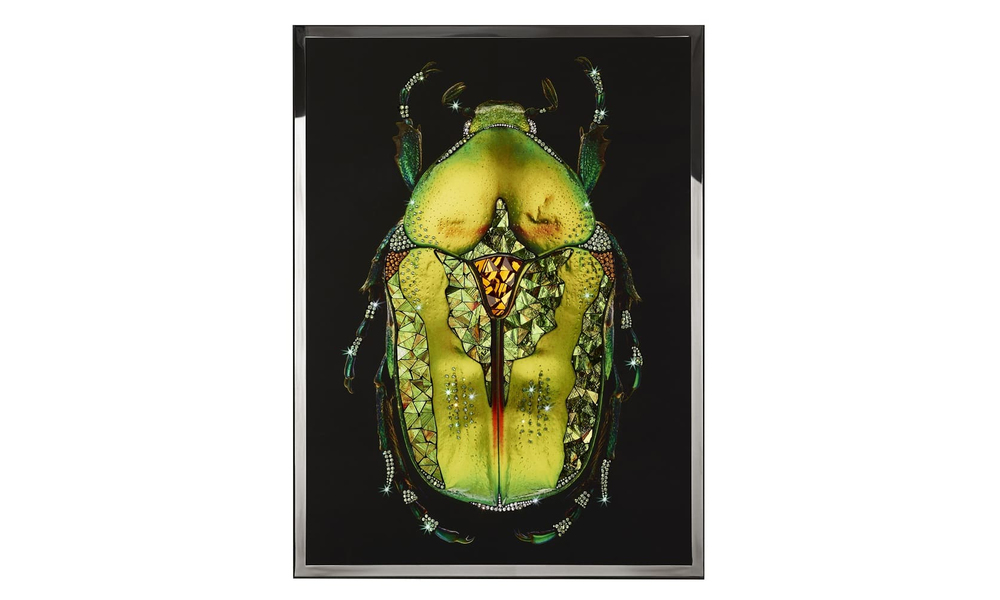 Картина Visionnair Coleottero Verde