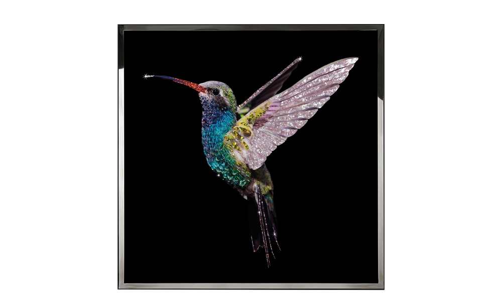 Картина Visionnair Colibri Big