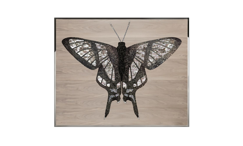 Картина Visionnair Danaus