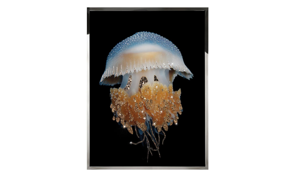 Картина Visionnaire Euriale