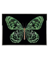 Картина Visionnaire Green Butterfly