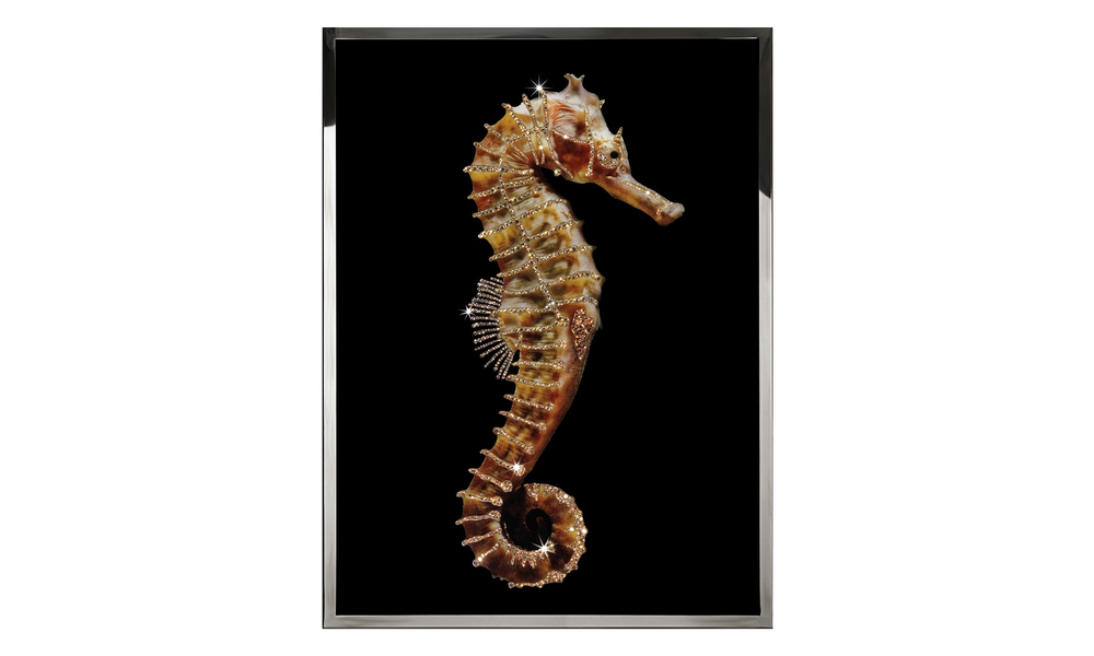 Картина Visionnaire Hippocampus