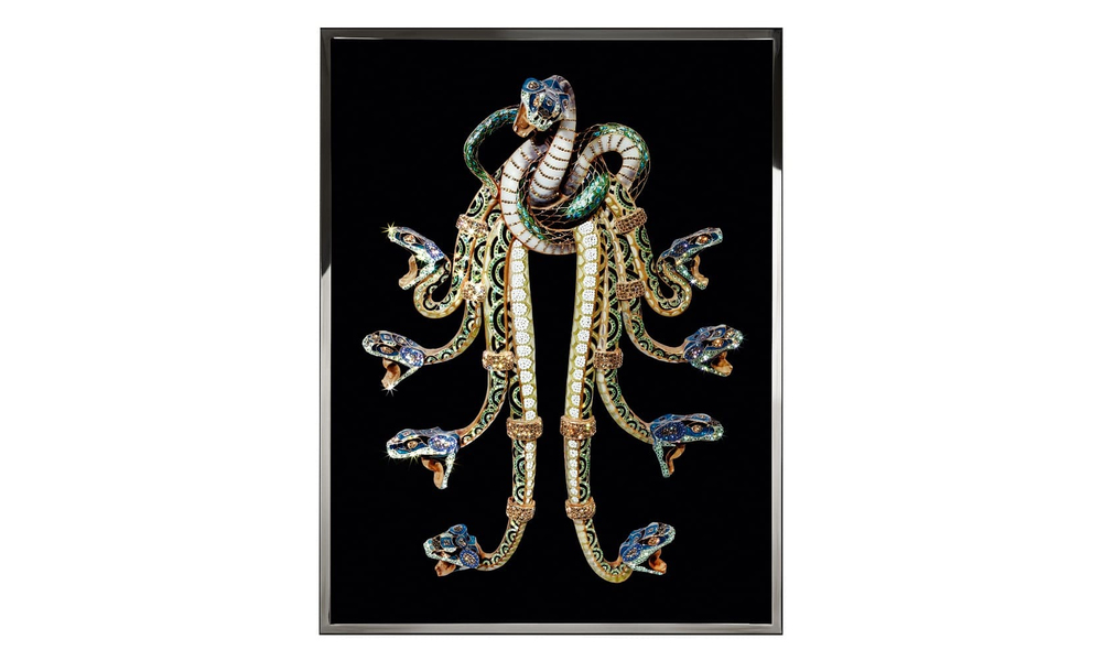 Картина Visionnaire Hydra