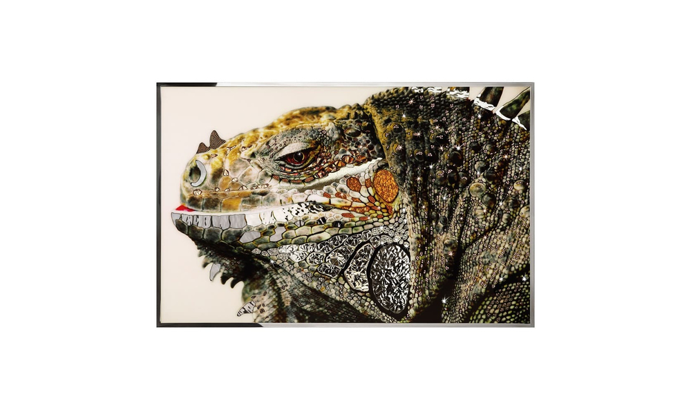 Картина Visionnaire Iguana