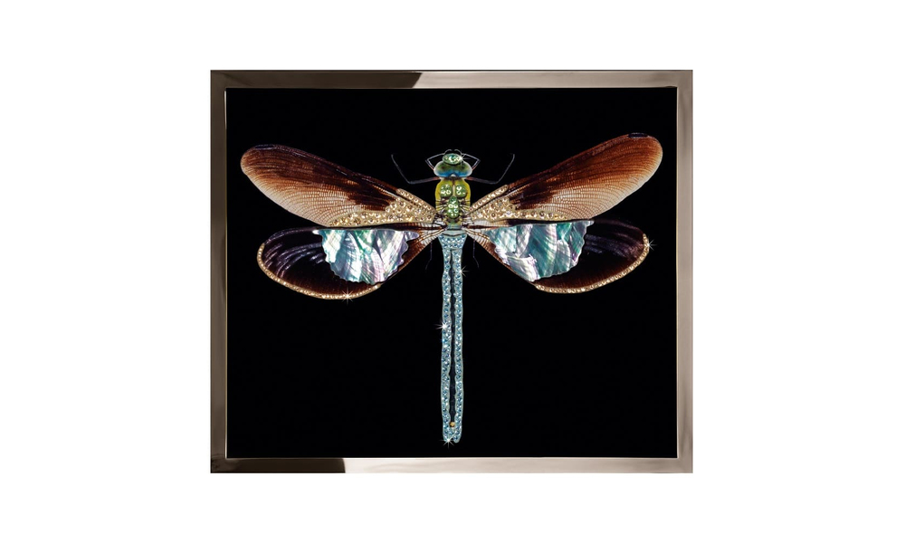 Картина Visionnaire Libellula Mini