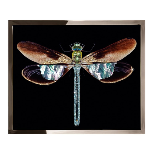 Картина Visionnaire Libellula Mini