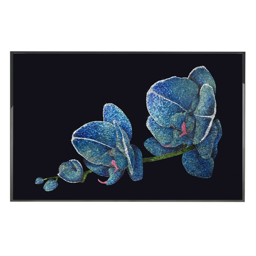 Картина Visionnaire Orchidea Blu