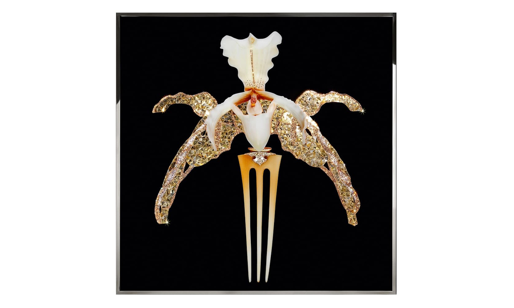 Картина Visionnaire Orchidea Lalique