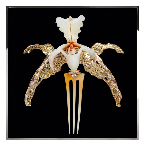 Картина Visionnaire Orchidea Lalique