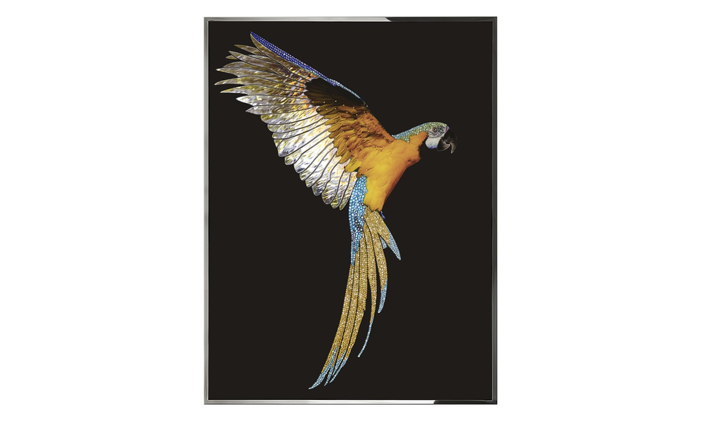 Картина Visionnaire Parrot Ara