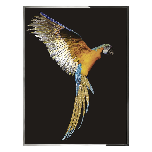 Картина Visionnaire Parrot Ara