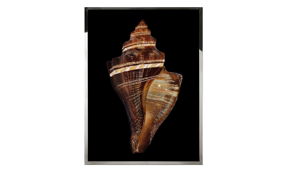 Картина Visionnaire Pugilina