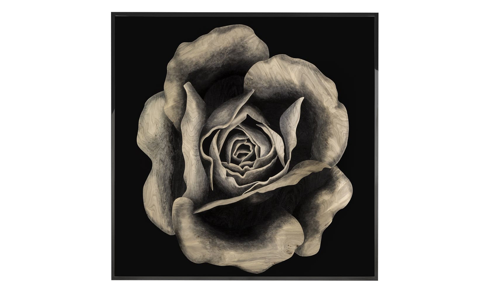 Картина Visionnaire Rosa Fossile