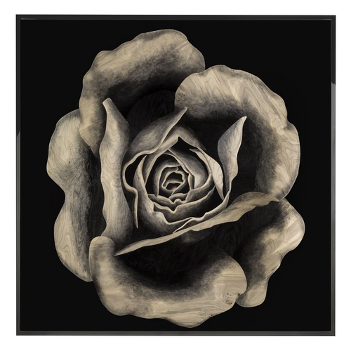 Картина Visionnaire Rosa Fossile