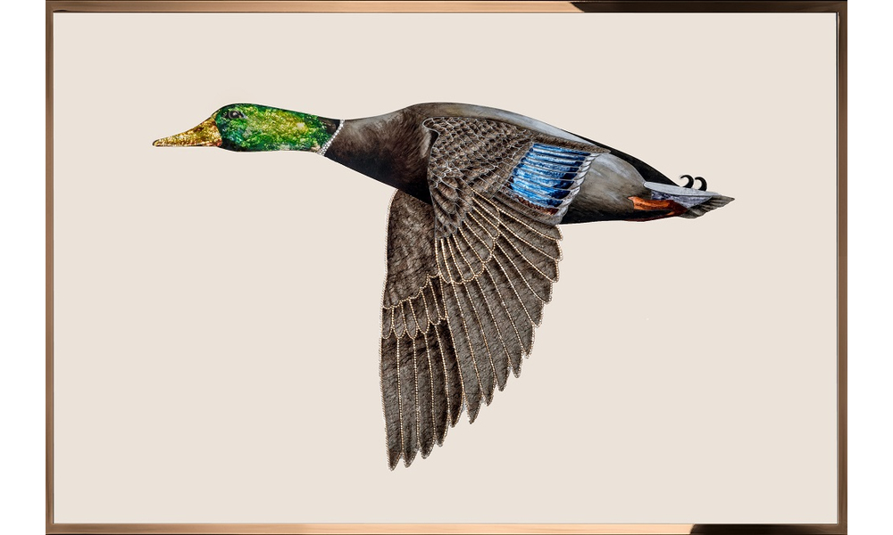 Картина Visionnaire Anatra in Volo