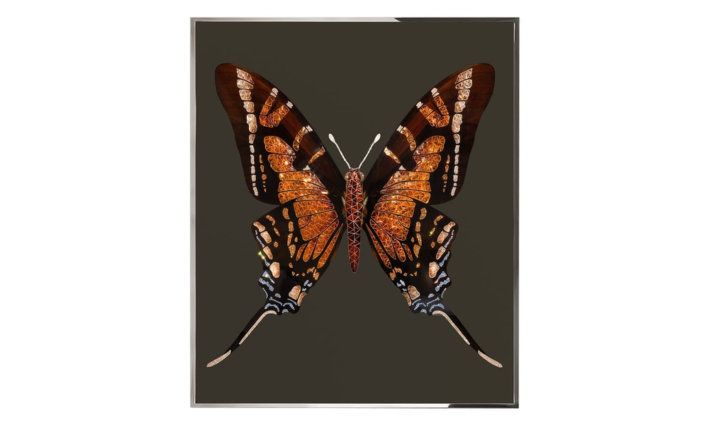Картина Visionnaire Brown Butterfly