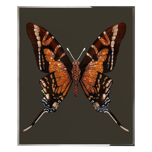 Картина Visionnaire Brown Butterfly