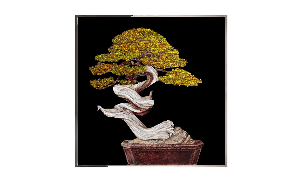 Картина Visionnaire Bonsai B