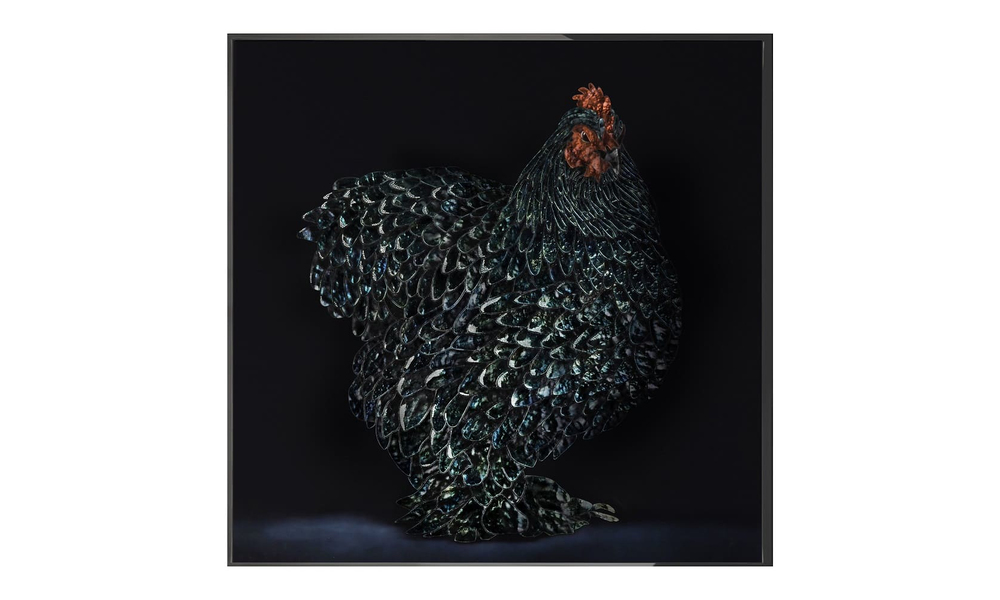 Картина Visionnaire Gallo Cedrone