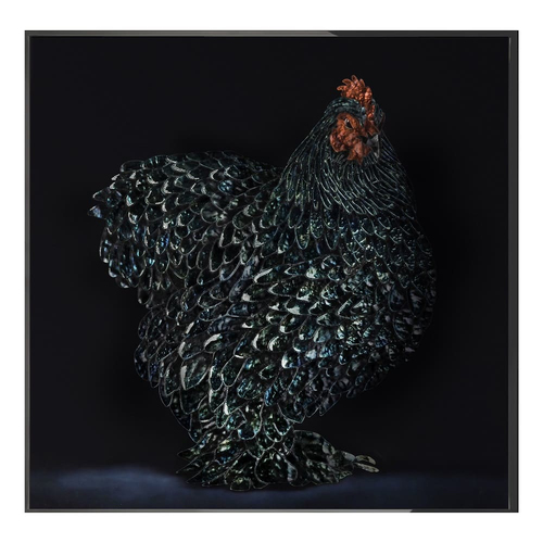Картина Visionnaire Gallo Cedrone