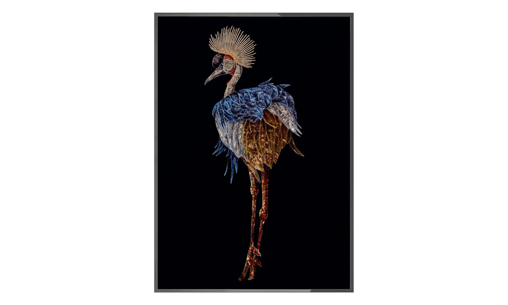 Картина Visionnaire Gru Coronata