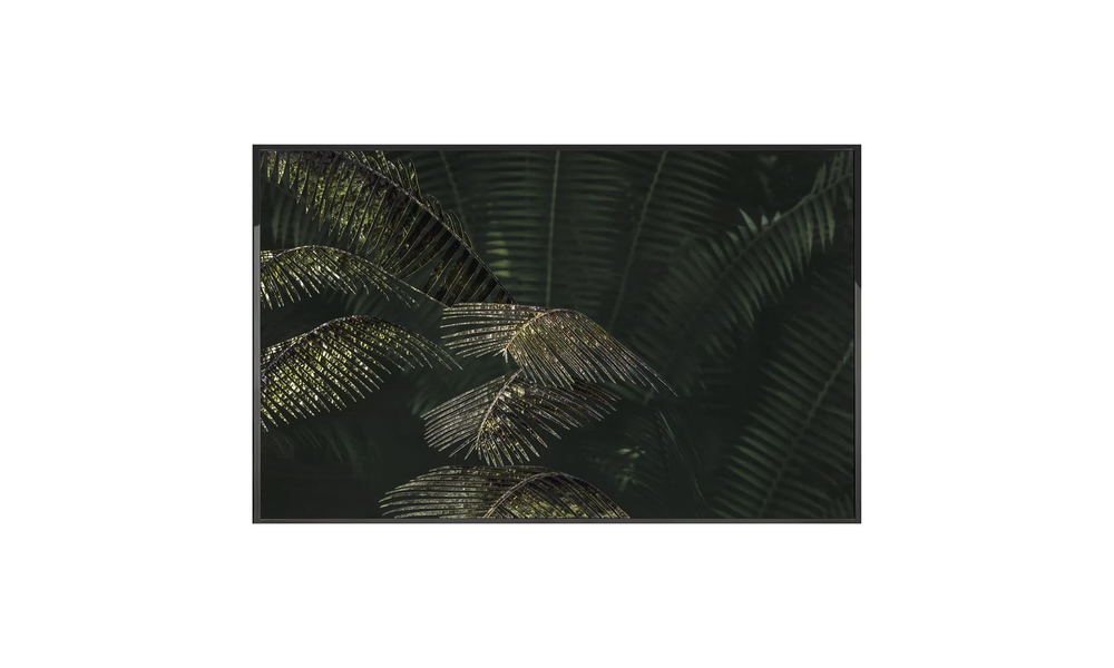 Картина Visionnaire Palma Areca