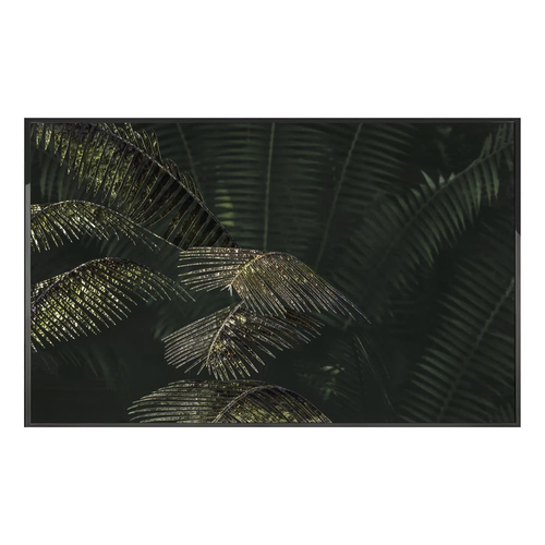 Картина Visionnaire Palma Areca