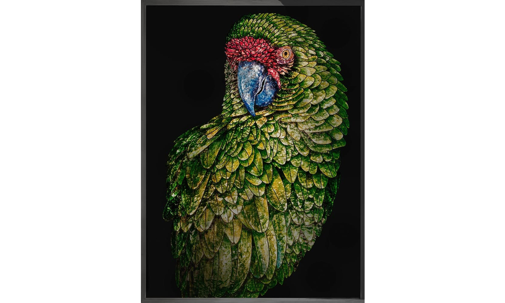 Картина Visionnaire Parrot Fred