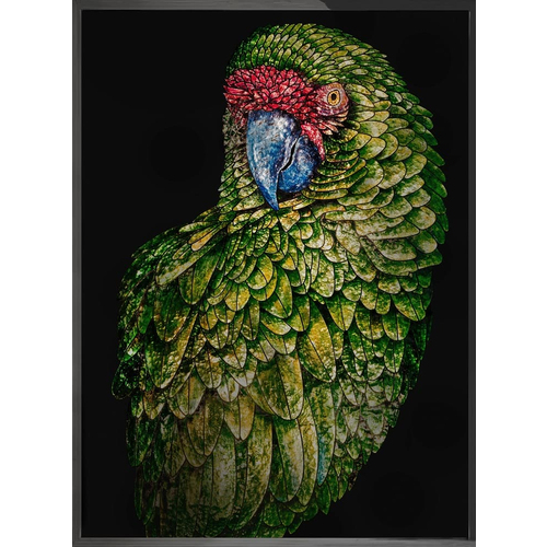 Картина Visionnaire Parrot Fred