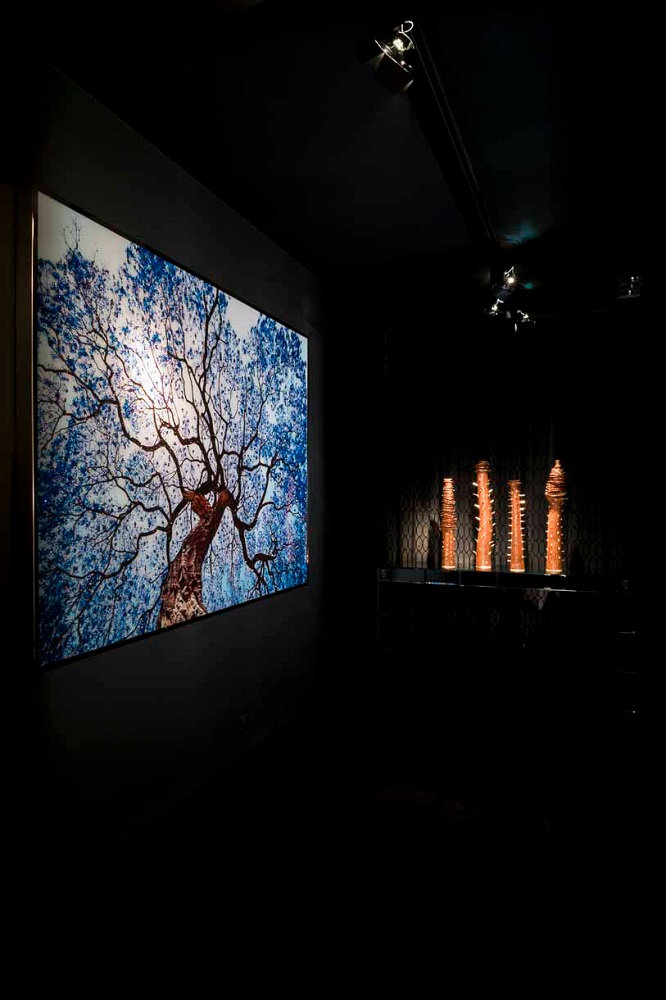 Картина Visionnaire Tree of Dream в интерьере