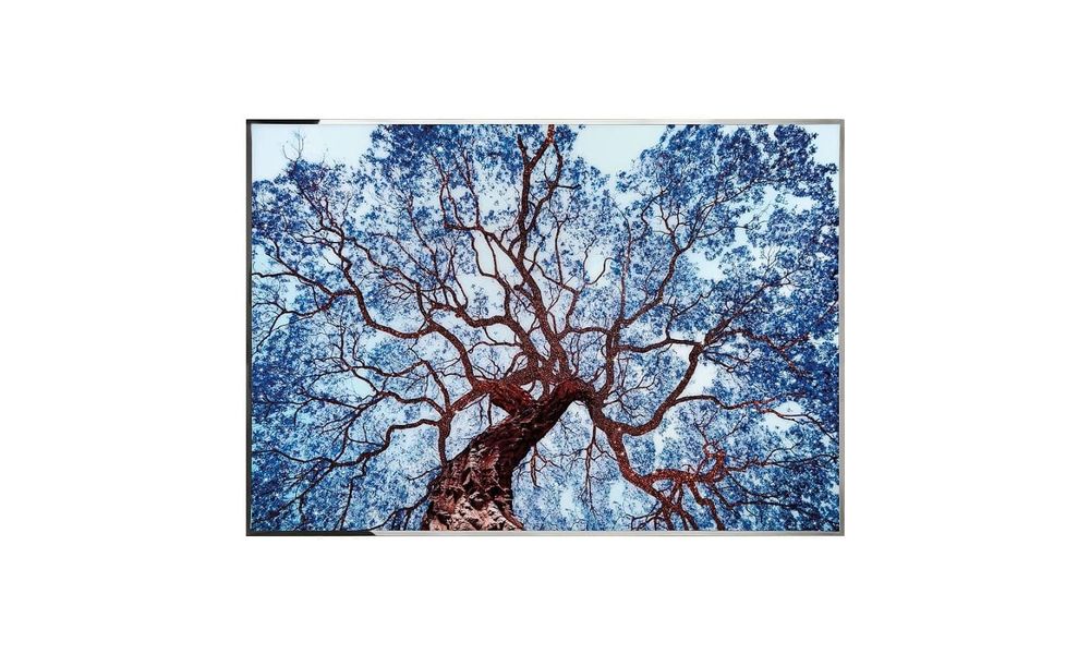 Картина Visionnaire Tree of Dream