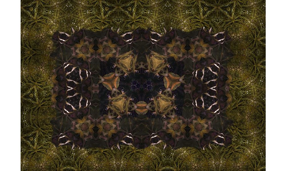 Картина Visionnaire Wild Green